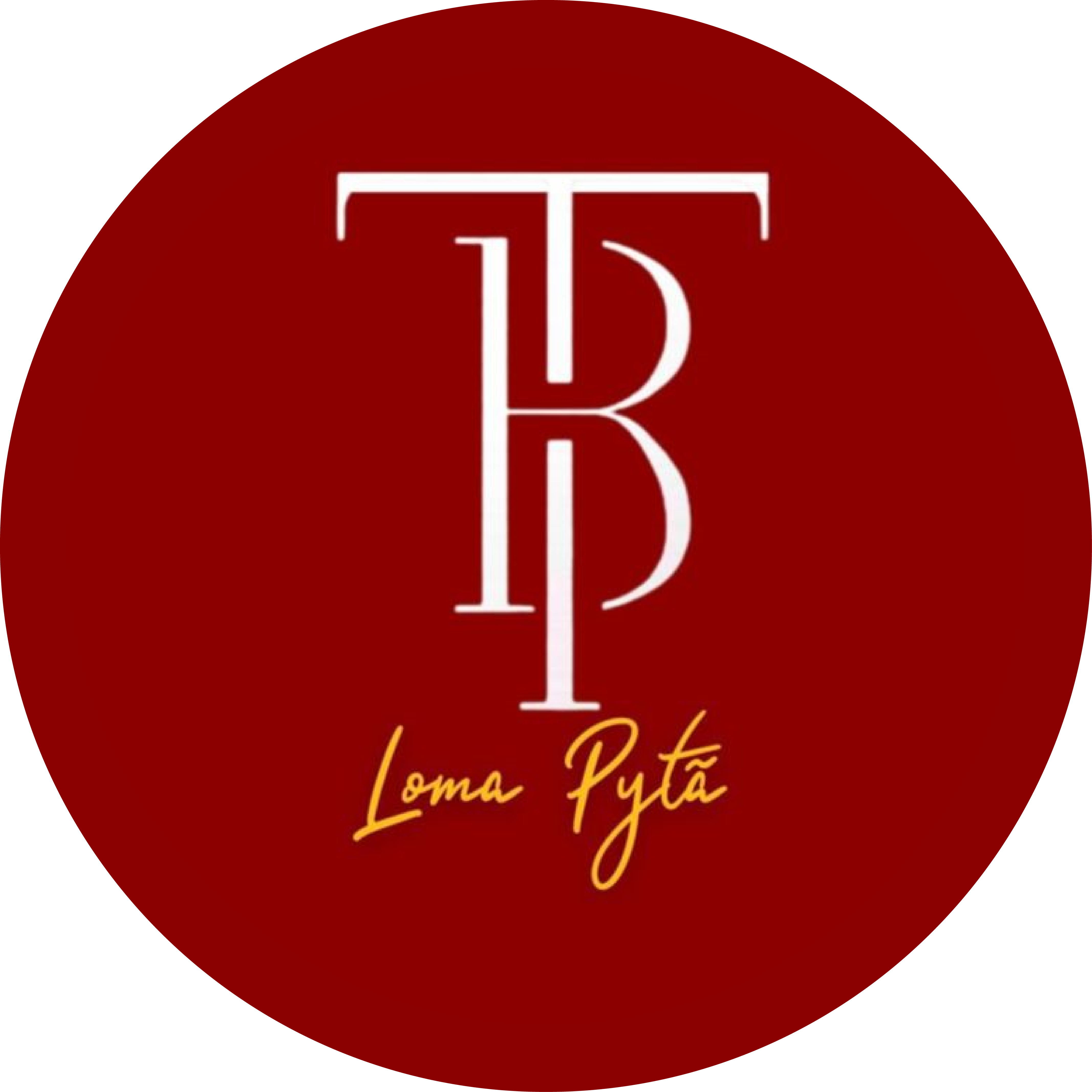 Logo de TERRA BRASIL